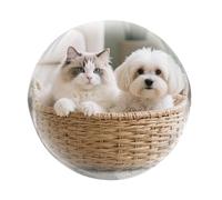 Crystal Ball Video Player - Digital Display 2.7Inch Screen, LED Sound Speaker, Creative Photo Ornament, Decorative Longtail Crystal Sphere | Unique Multimedia Ball For Christmas Birthday Desk Table Fa