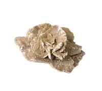 Crystal Desert Rose Rough Stone Mine Mark Ornaments Crystals Rock Free-Shaped Gem Fish Tank Ornaments for Aquarium & Home Decor,50~100g