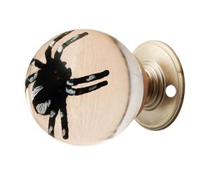 Crystal Goggas Door Pull Multi-Room Applications Easy Install Luxury Knob