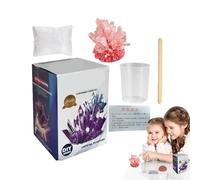 Crystal Growing Kit - 80G Kit Di, Esperimento Di Cristalli, Giocattolo Di Progetto STEM, Giocattoli Educativi Scientifici, Pietre Preziose Che Apprendono Giocattoli Per Bambini, Ragazzi E Ra