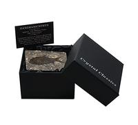 CrystalAge Jianghanichthys - Confezione regalo Fossil Black Fish