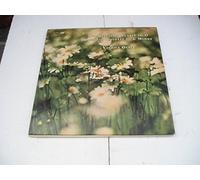 CS 6636 - Members of the Vienna Octet - Mendelssohn Sextet & Borodin Quintet - 1970 London Stereo vinyl LP