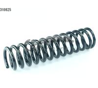 CS Germany 14.319.825 Molla autotelaio per MERCEDES-BENZ