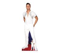 CS932 Aljaz Skorjanec Strictly Professionale Danzatore Lifesize Cartone Ritaglio Con Free Mini