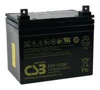 CSB Batteria al piombo: EVH12390 12V 39Ah resistente all' impiego ciclico, 12V, Lead-Acid