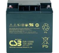 CSB Battery EVX12300 EVX 12300 Batteria al piombo 12 V 30 Ah Piombo-AGM (L x A