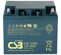 CSB Battery EVX12400-I1 EVX 12400 Batteria al piombo 12 V 40 Ah Piombo-AGM (L