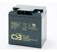 CSB-EVX12300 - Batteria al piombo AGM, 12 Volt, 30 Ah, 166 x 125 x 175 mm, filettatura interna M5, resistente ai cicli + standby