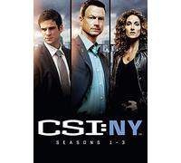 Csi New York Seasons 13 [Edizione: Regno Unito]