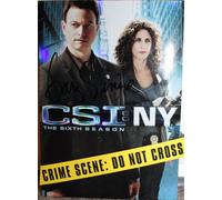 Csi: New York - The Sixth Season