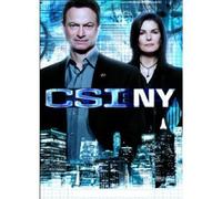 CSI: NY - The Final Season (DVD) Wallace Langham Paul Guilfoyle Peter Horton