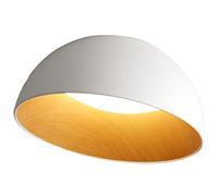 CSSYKV Plafoniere LED Nordiche Lampadario dal Design Creativo Luce Regolabile A 3 Colori Apparecchio per Lampada da Soffitto A Incasso Luci del Corridoio del Corridoio del Balcone Arredamento