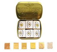 CSY art gallery Set di acquerelli metallizzati - Set di 6 acquerelli solidi color oro scintillante - Qualità artistica - Perfetto per adulti, studenti, hobbisti (Earth Golden)