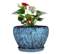 CSYQPDMBDL Vaso da Fiori in Ceramica, Vaso da Fiori in Ceramica for Piante Verdi, Vaso da Fiori Decorativo for Interni, Giardino, Fiori, Bonsai(Small)