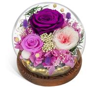 CSYY Rosa Eterna - Regalo di Natale con Luce Infinity Vetro Rosa e Austin Conservati Fiori Viola Durevoli - Regali Eterni per Donne Mamma Fidanzata Moglie San Compleanno