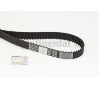 CT1133 CONTINENTAL CTAM Cinghia dentata per MAZDA