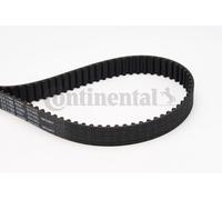 CT1163 CONTINENTAL CTAM Cinghia dentata per CITROËN,DS,FORD,PEUGEOT