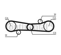CT654 CONTINENTAL CTAM Cinghia dentata per ALFA ROMEO