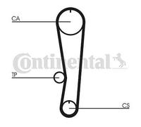 Cinghia di distribuzione CONTINENTAL CT895