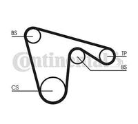 CT970 CONTINENTAL CTAM Cinghia dentata per ALFA ROMEO,FIAT,LANCIA