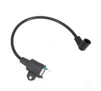 CTASRIM Bobina di accensione del generatore, Pezzi di Ricambio for Pacco ad Alta Tensione 145F 650 ET950, Adatto for generatori a 2 Tempi