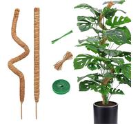 CTCEHL Bastone di Muschio,2 pcs 60 cm Pieghevoli Fibra di Cocco per Piante,Bastoncino di muschio Monstera,Bastoncino per piante rampicanti indoor,per piante rampicanti che crescono verso l'alto