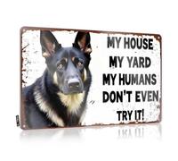 CTDF In Home - Cartello di avvertimento pastore tedesco: Rispetta il mio territorio! Targa in latta con scritta in lingua inglese "Pool Zone", 30 x 40 cm