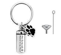 CTDMJ - Portachiavi in acciaio inox a forma di zampa di cane, piccola urna per cenere, urna per ceneri, mini urna per ceneri, portachiavi commemorativo per ceneri