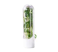 CTForest Bianco Scatola di Capsule, Bicchiere per la Conservazione Delle Erbe, Utilizzato per Conservare e Conservare Verdure, Frutta e Fiori