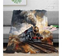CTJQHVKZ stampa 3D vintage train plaid da letto microfibra biancheria da letto soffice e caldo coperta da divano non perde pelo per uso quotidiano in casa Steam locomotive arte 70×80inch(180x200cm)