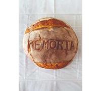 CTRL Z. Estetica dell'irreversibile e politica del segno