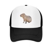 CTRLTSXUS Capybara Baseball Capy Box, Cappello da Golf Derby in Offerta Femminile