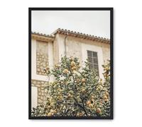 Cuadro lemon tree