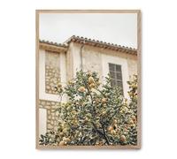 Cuadro lemon tree_FASE5