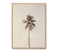 Cuadro palm tree and sky iii_FASE5