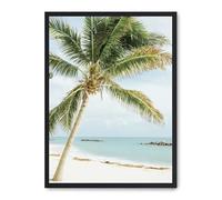 Cuadro palm tree in paradise_FASE5