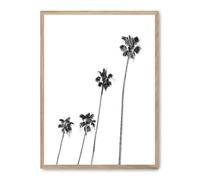Cuadro palm tree line up i_FASE5