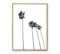 Cuadro palm tree line up ii_FASE5