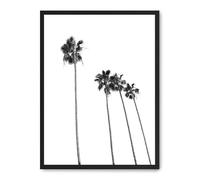 Cuadro palm tree line up ii_FASE5