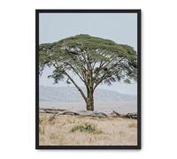 Cuadro tree in the savana ii_FASE5