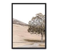 Cuadro tree in the savana iii_FASE5
