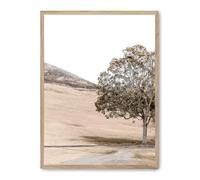 Cuadro tree in the savana iii_FASE5