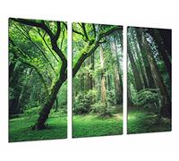 Cuadros Cámara Poster Fotografico, Acrilico, Multicolore, 97 x 62 cm