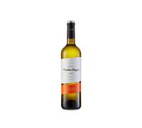 Vendimia Nocturna Verdejo 2025 - Cuatro Rayas Rueda