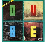 Cube (2) - 6400731 12" Two Heads Are Better Than One VINYL