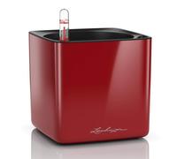 CUBE Glossy 14 Rosso Scarlatto High Gloss 13512