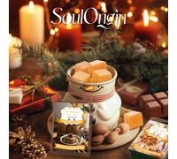 Cubetti di cera profumata all'autunno, set regalo di cubetti di cera di soia profumata per scaldacera - Spezie di zucca, sidro di mele, torta di mele, raccolta autunnale, cannella, sciroppo d'acero, c