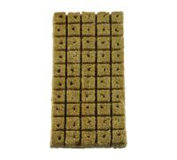 Cubi di clonazione versatili per tutti i tipi di piante set da 50 per un uso con