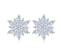 Cubico Zirconia Orecchini Trendy Studs Ciondolo Per Giovani Professionisti E Gli appassionati di Moda Cubici Zirconia Orecchie Gocce, Taglia unica, come descritto