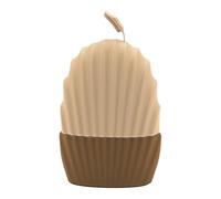 Cubo di ghiaccio a forma di conchiglia, per viso e corpo, strumento per massaggiare, riutilizzabile, adatto per viso, occhi, collo